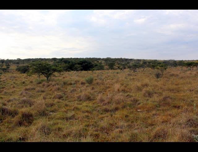 367HA FARM FOR SALE IN KOMGA